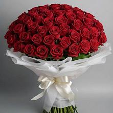 Букет 101 Красная роза Блэк Мэджик в Зиме