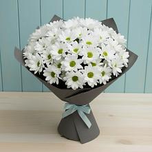 Букет цветов из:  Хризантемы #REPLACE_PRED# Зиме