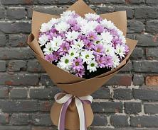 Букет цветов из:  Хризантемы в Зиме