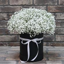 Цветочная композиция из Гипсофила в шляпной коробке в Зиме