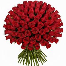 Букет Красные розы Чери Лав в Зиме