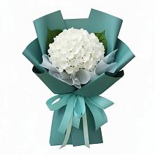 Букет цветов из:  Гортензия в Зиме